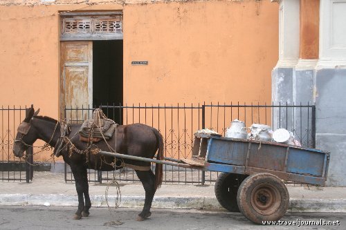 45941-donkey-cart-in-downtown-granada-granada-nicaragua.jpg